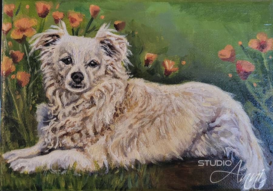 Maggie (white dog)
